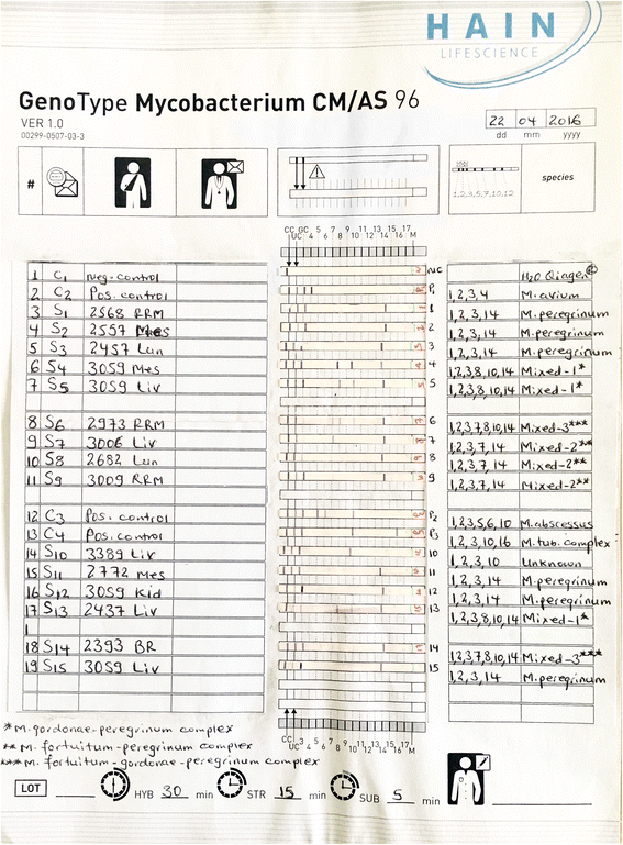 Fig. 2