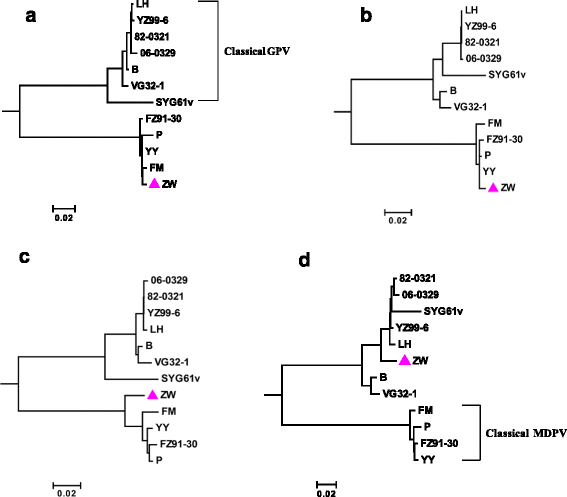 Fig. 5