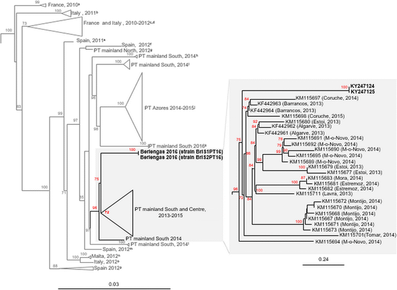 Fig. 3