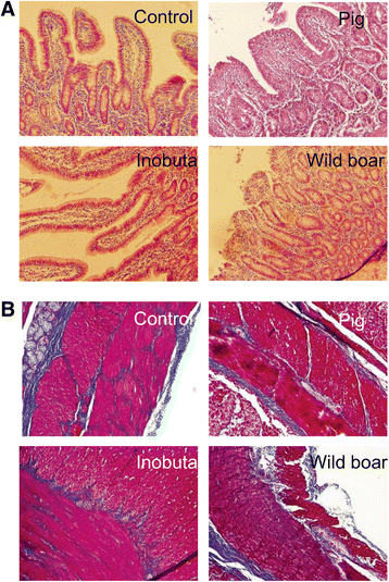 Fig. 5