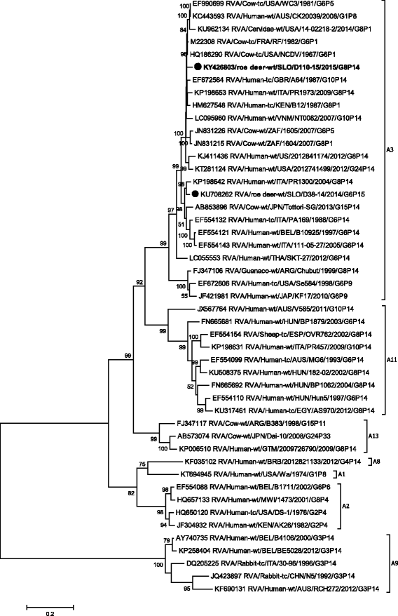 Fig. 7