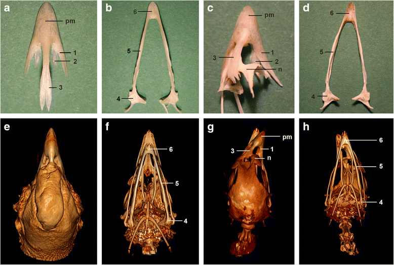 Fig. 5