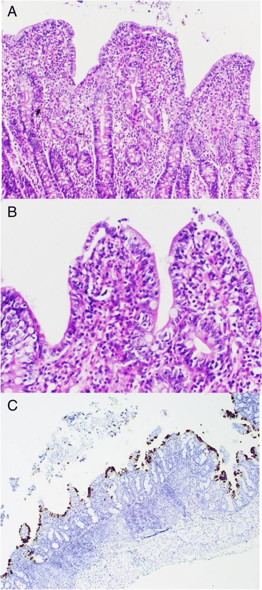 Fig. 3