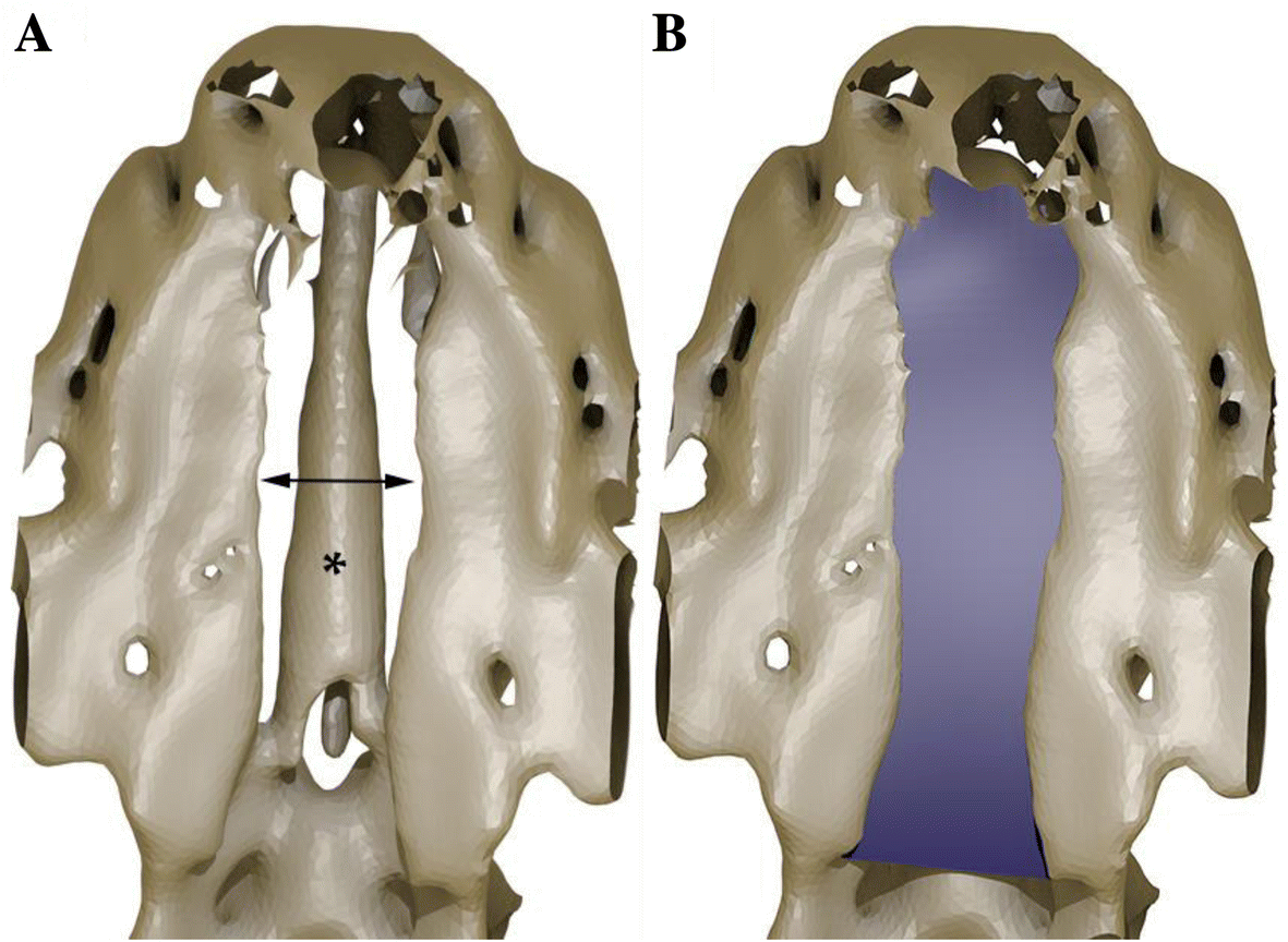 Fig. 5