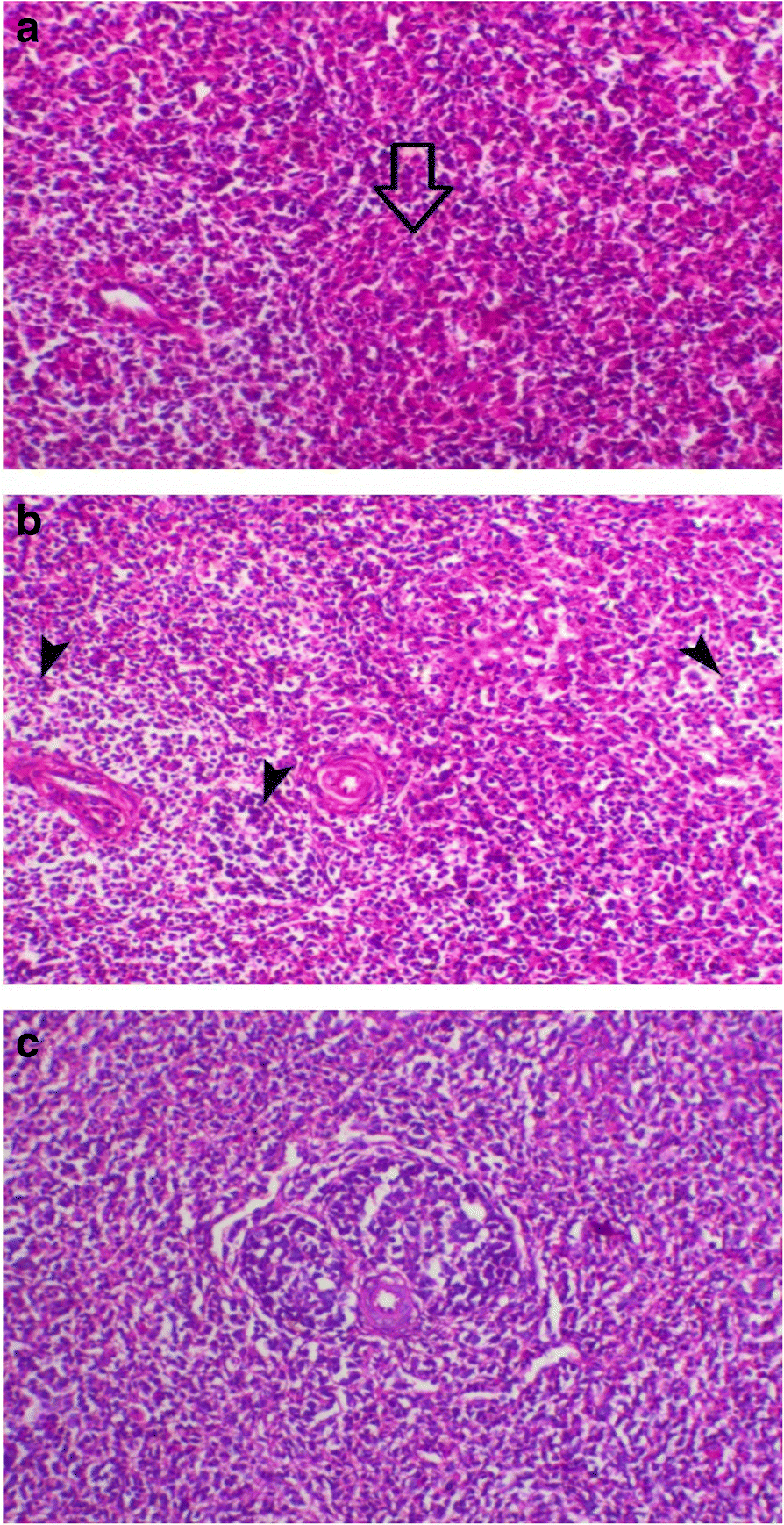 Fig. 5