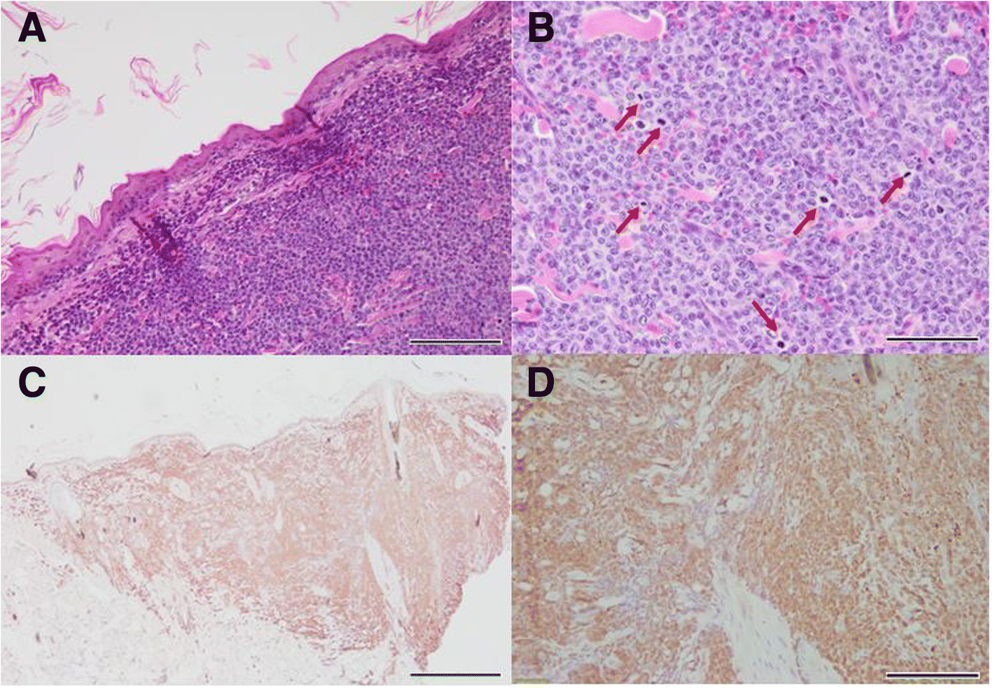 Fig. 4