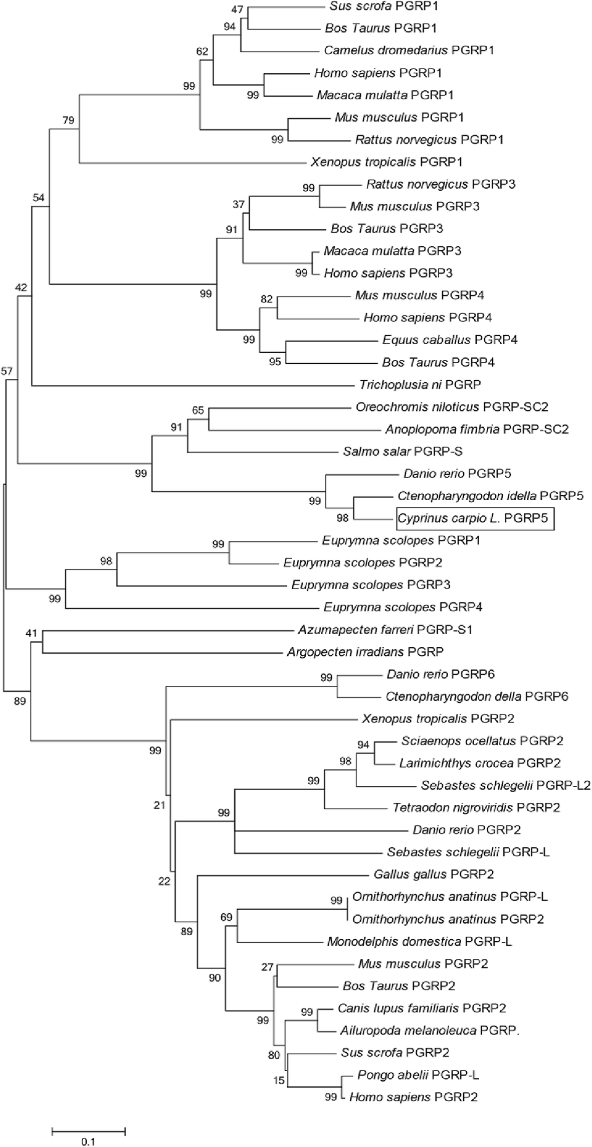 Fig. 4