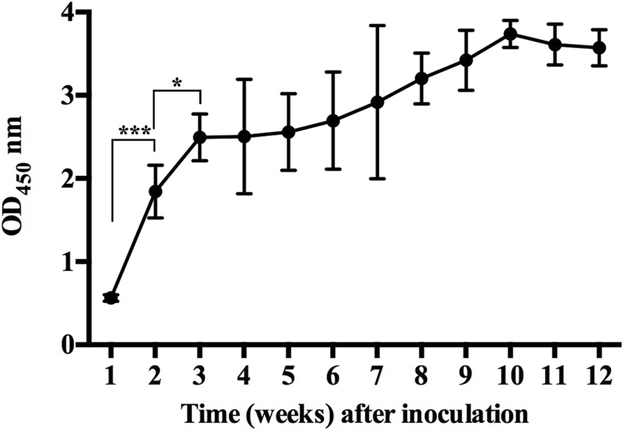 Fig. 4