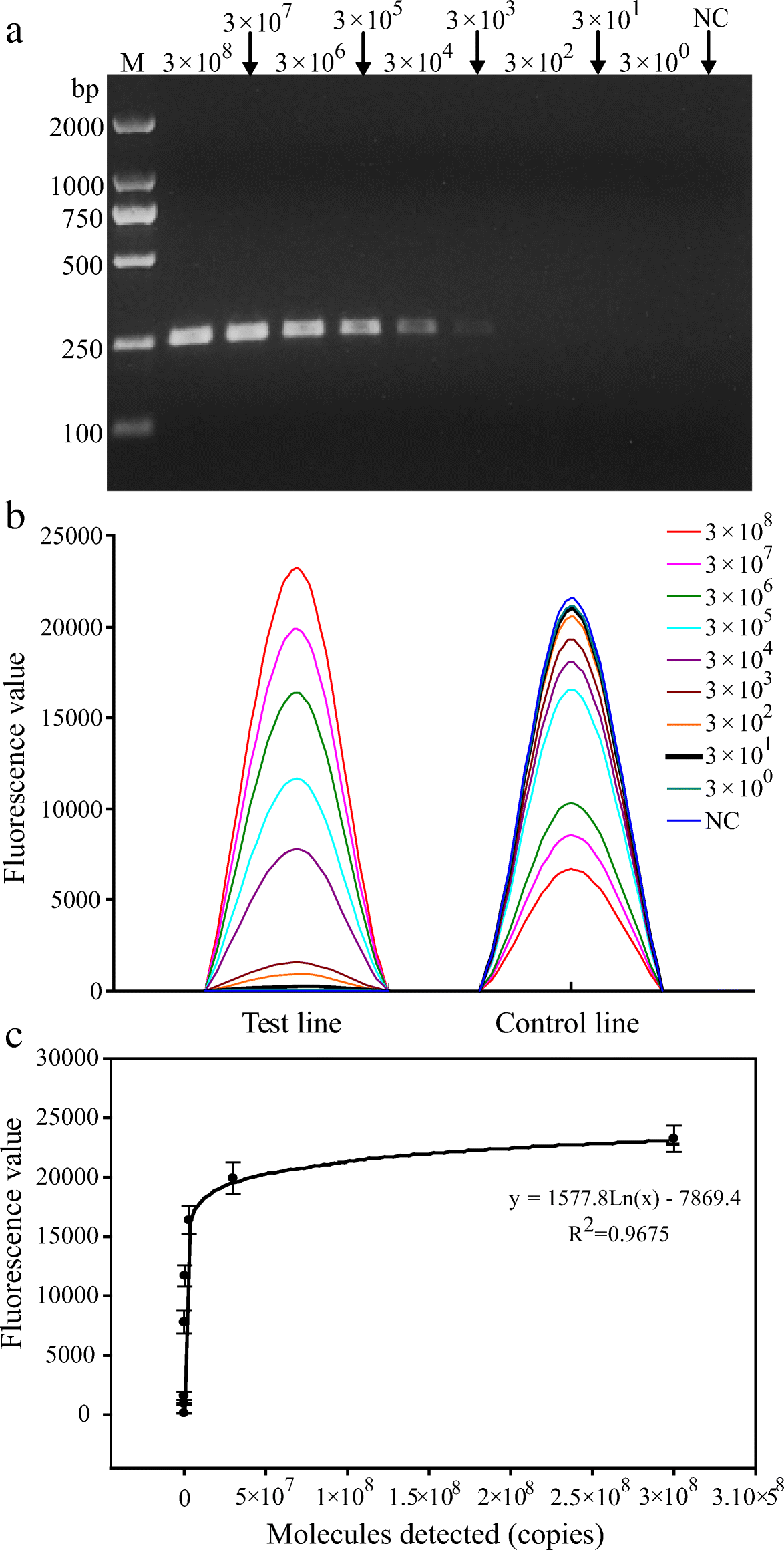 Fig. 5