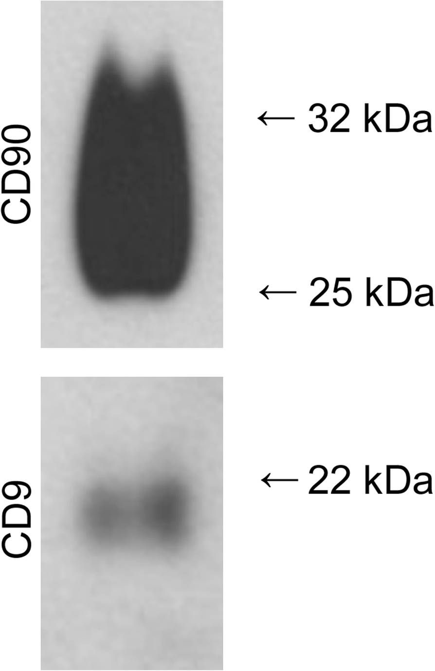 Fig. 9