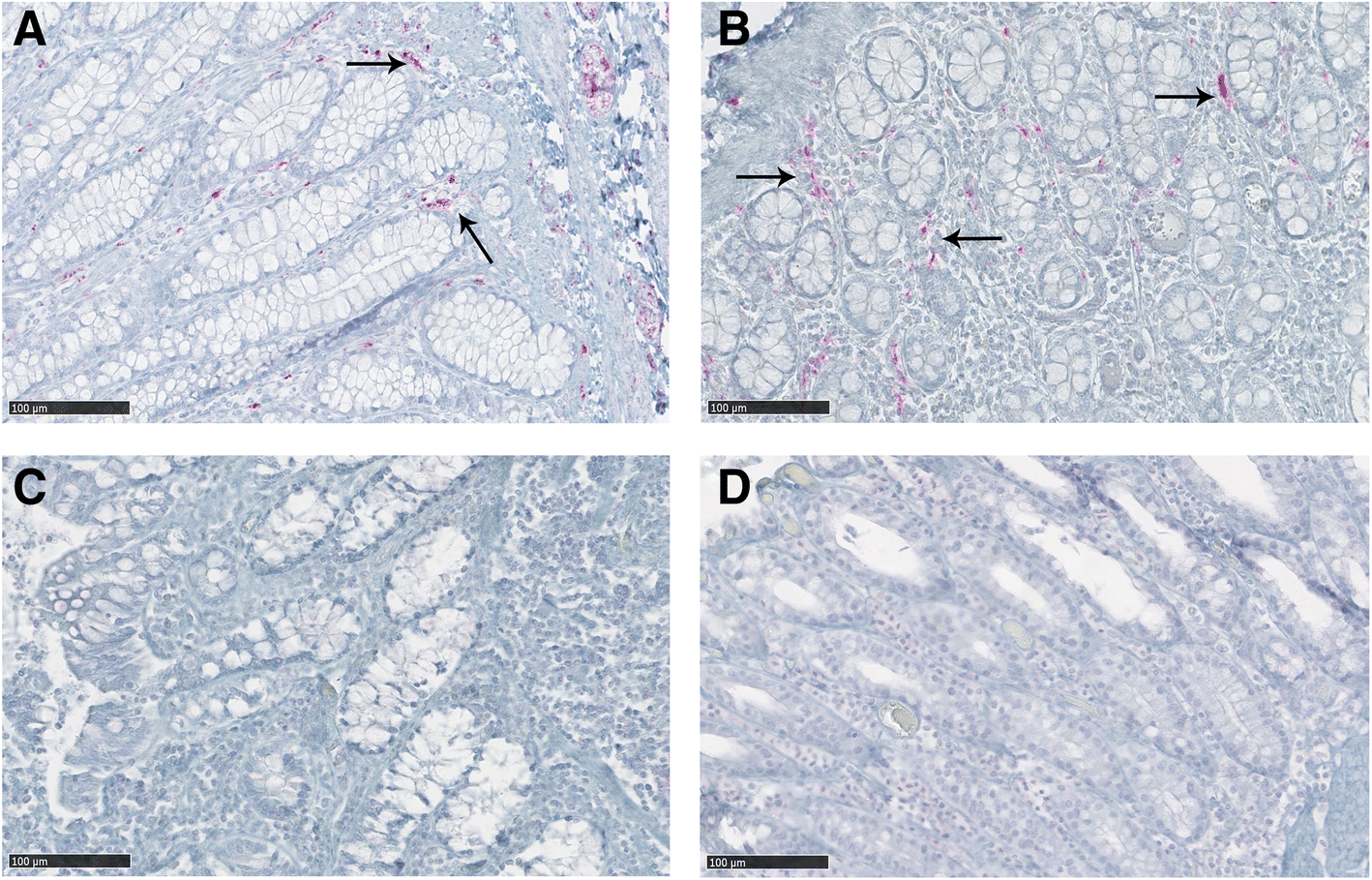 Fig. 5