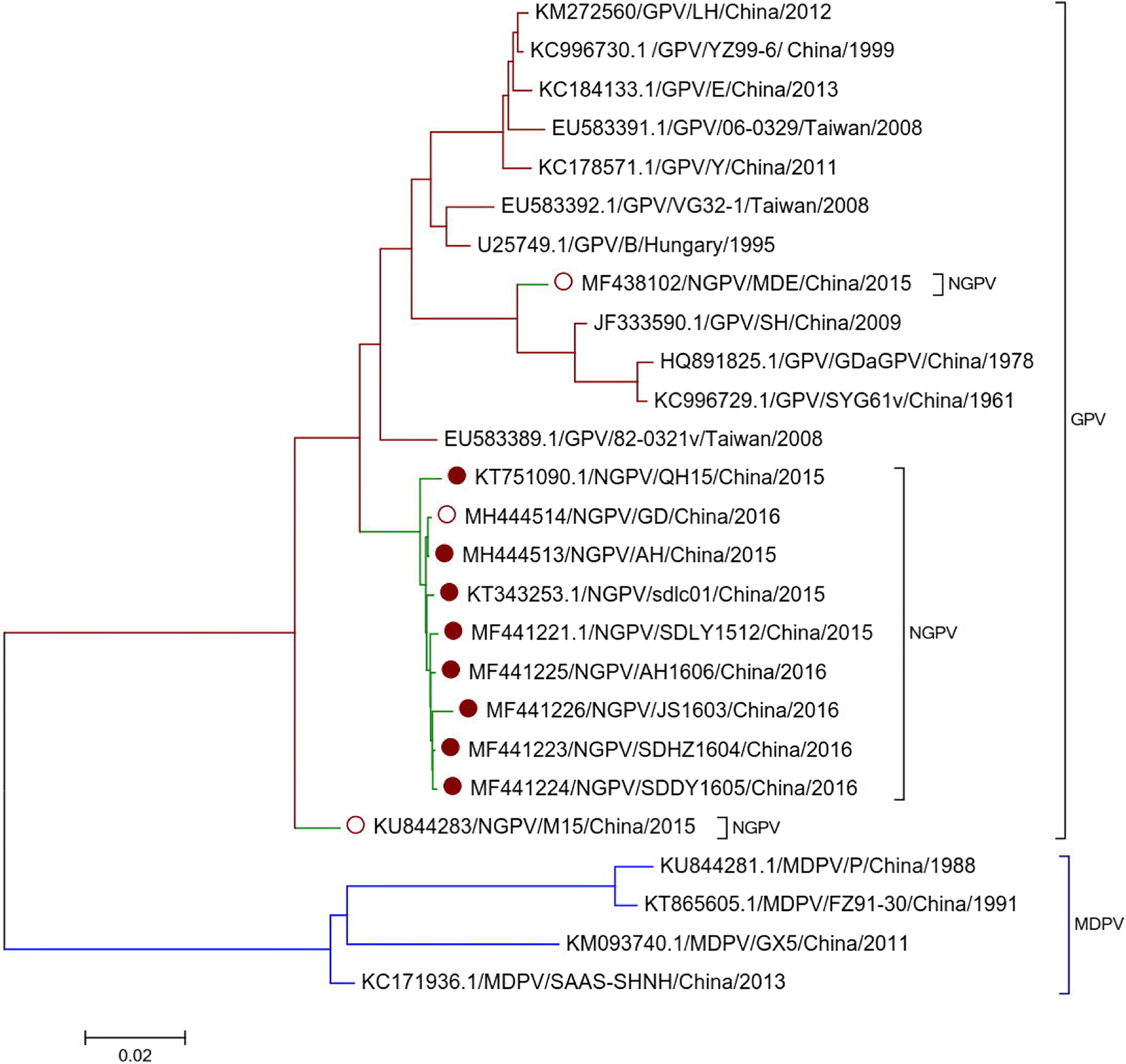 Fig. 2