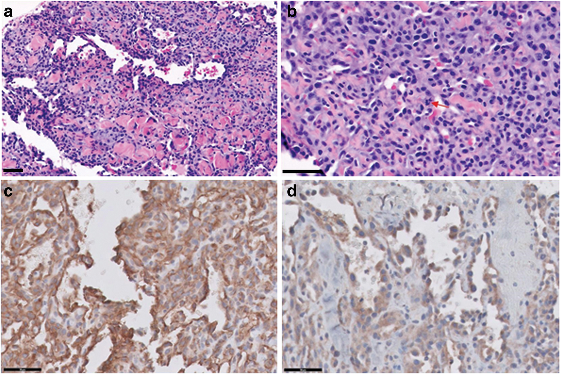 Fig. 2