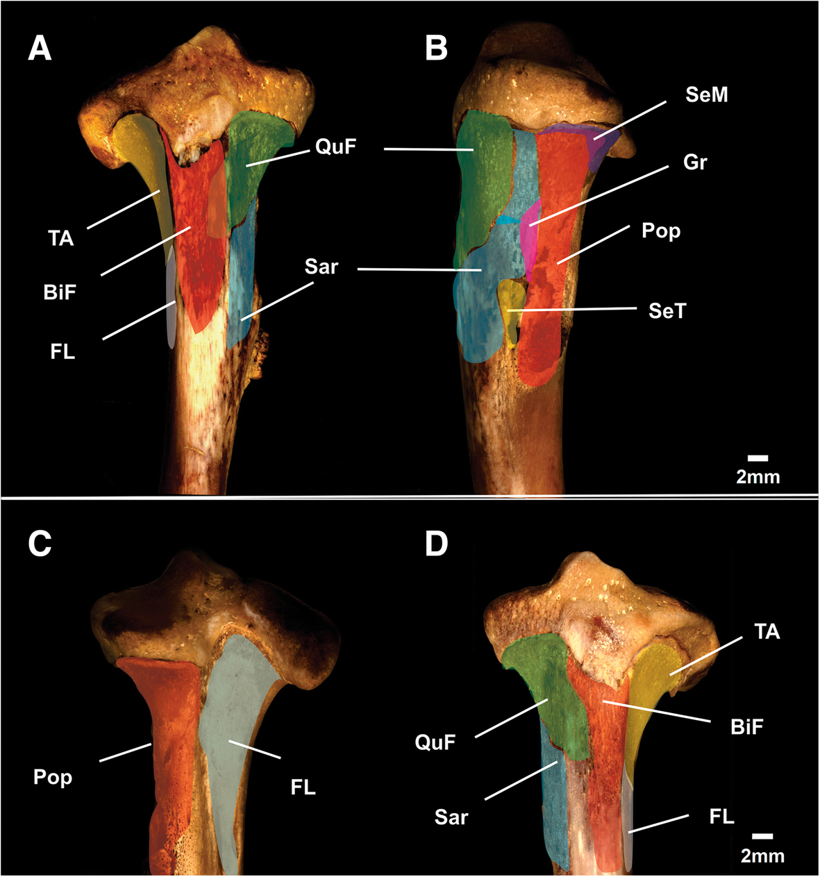 Fig. 16