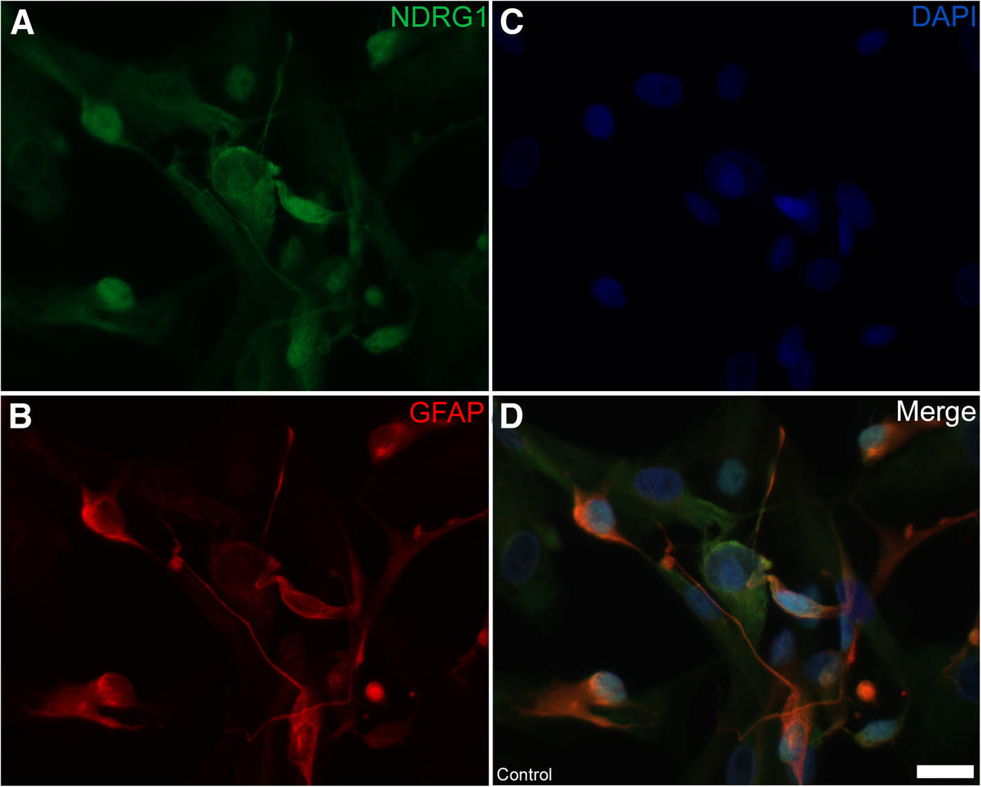 Fig. 10