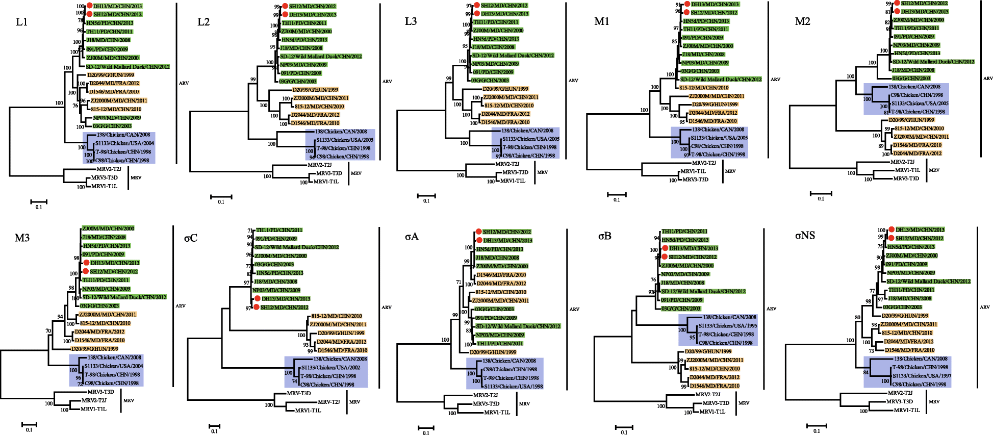 Fig. 1