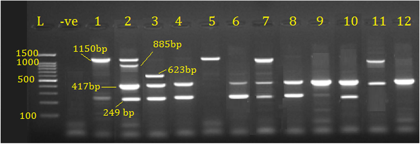 Fig. 4