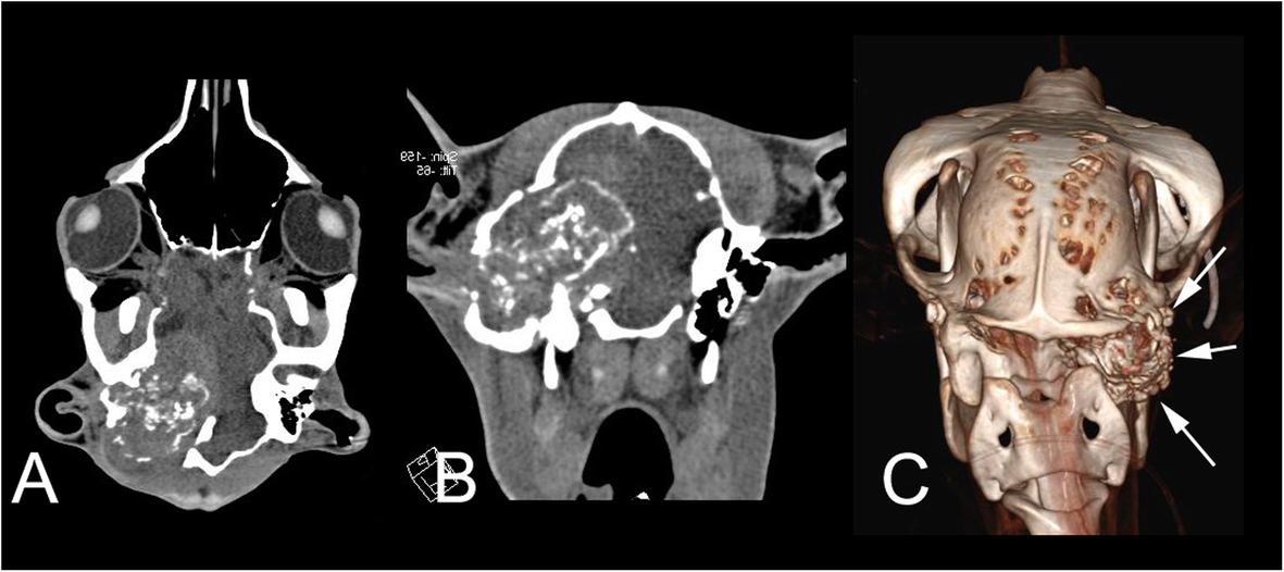 Fig. 3