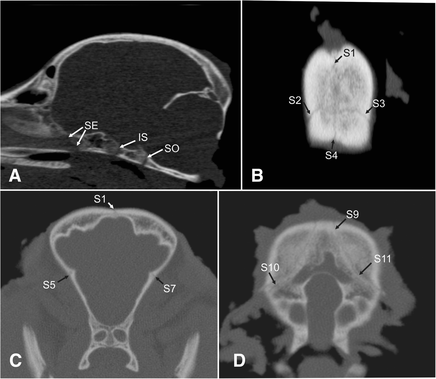 Fig. 6