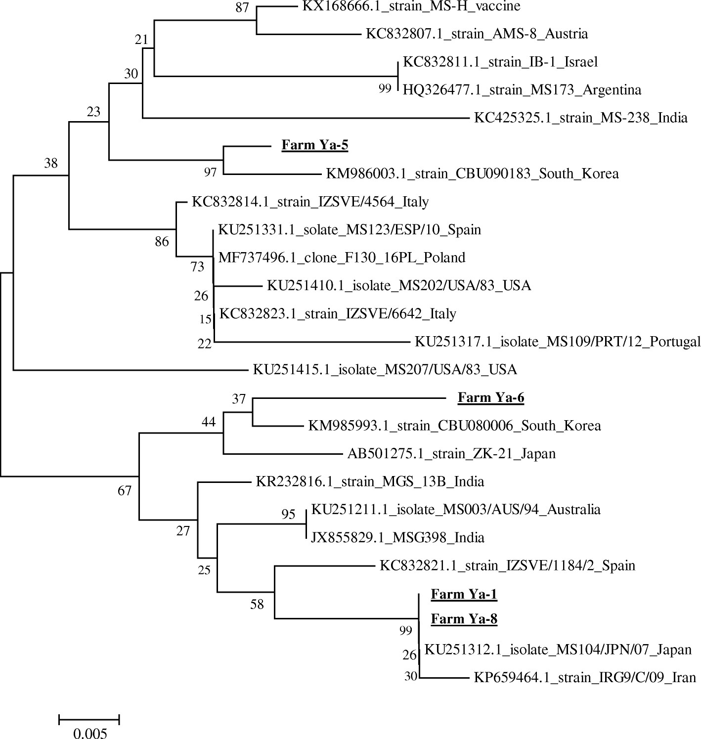 Fig. 2