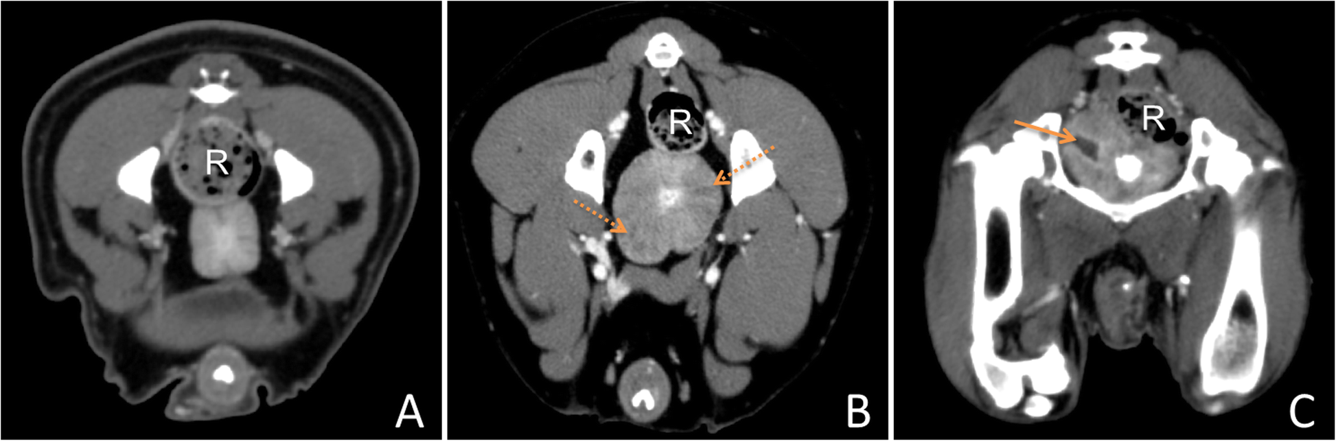 Fig. 6