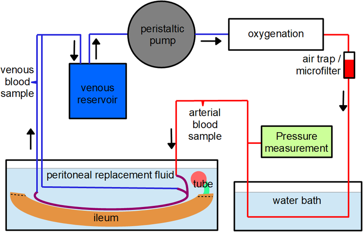 Fig. 6