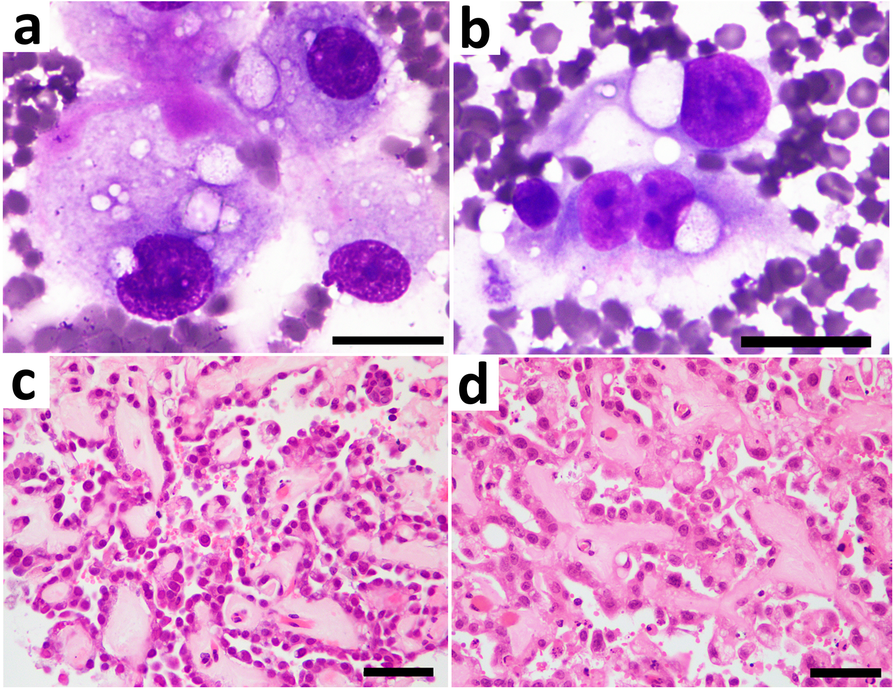 Fig. 2