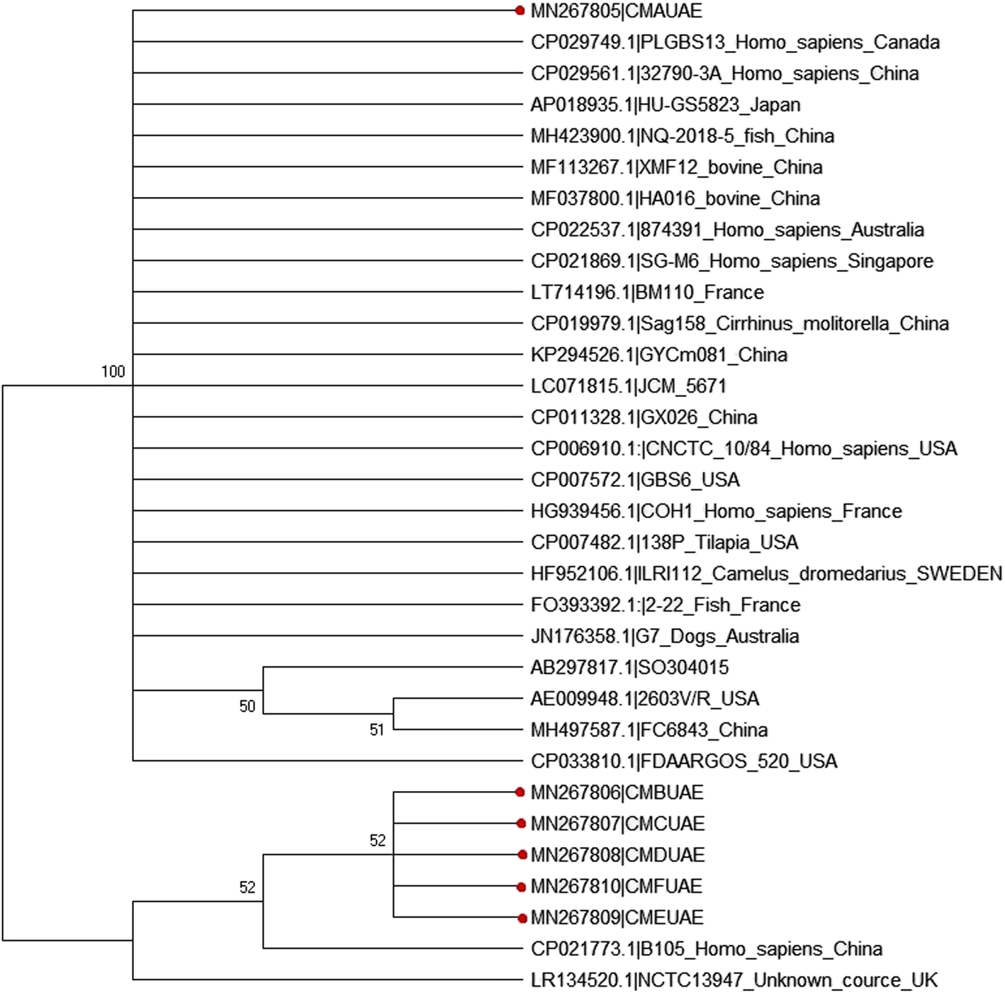 Fig. 7