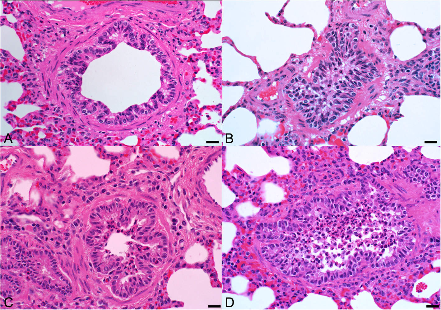 Fig. 10