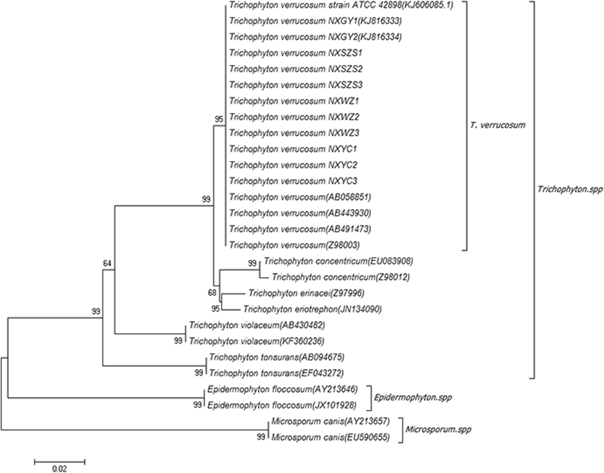 Fig. 6