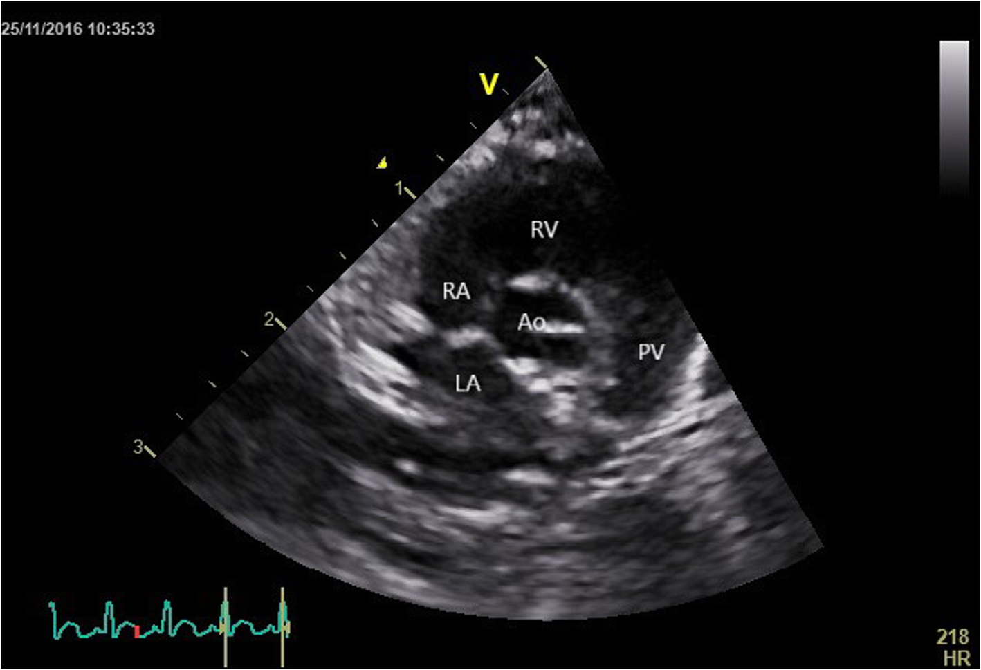 Fig. 8