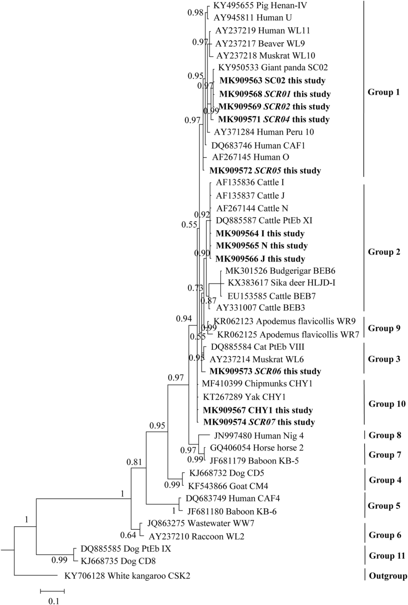 Fig. 1