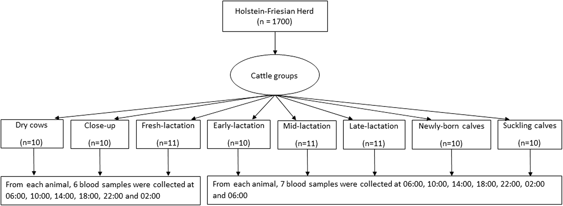 Fig. 10