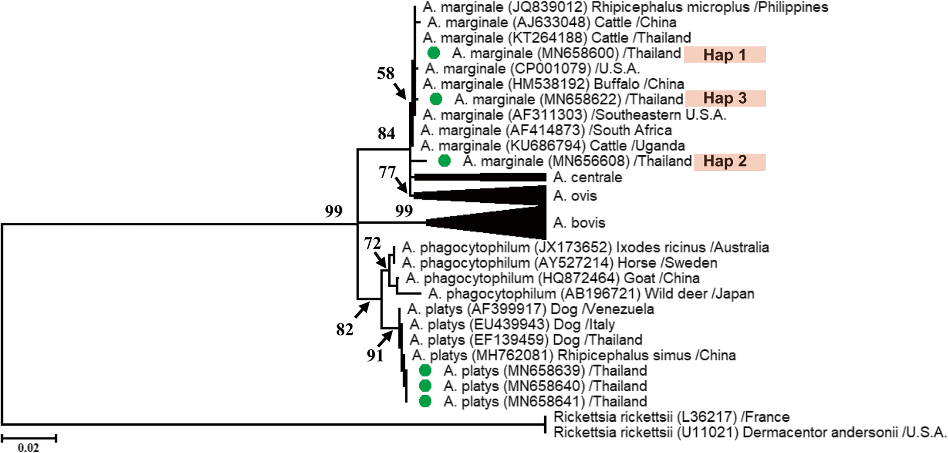 Fig. 1