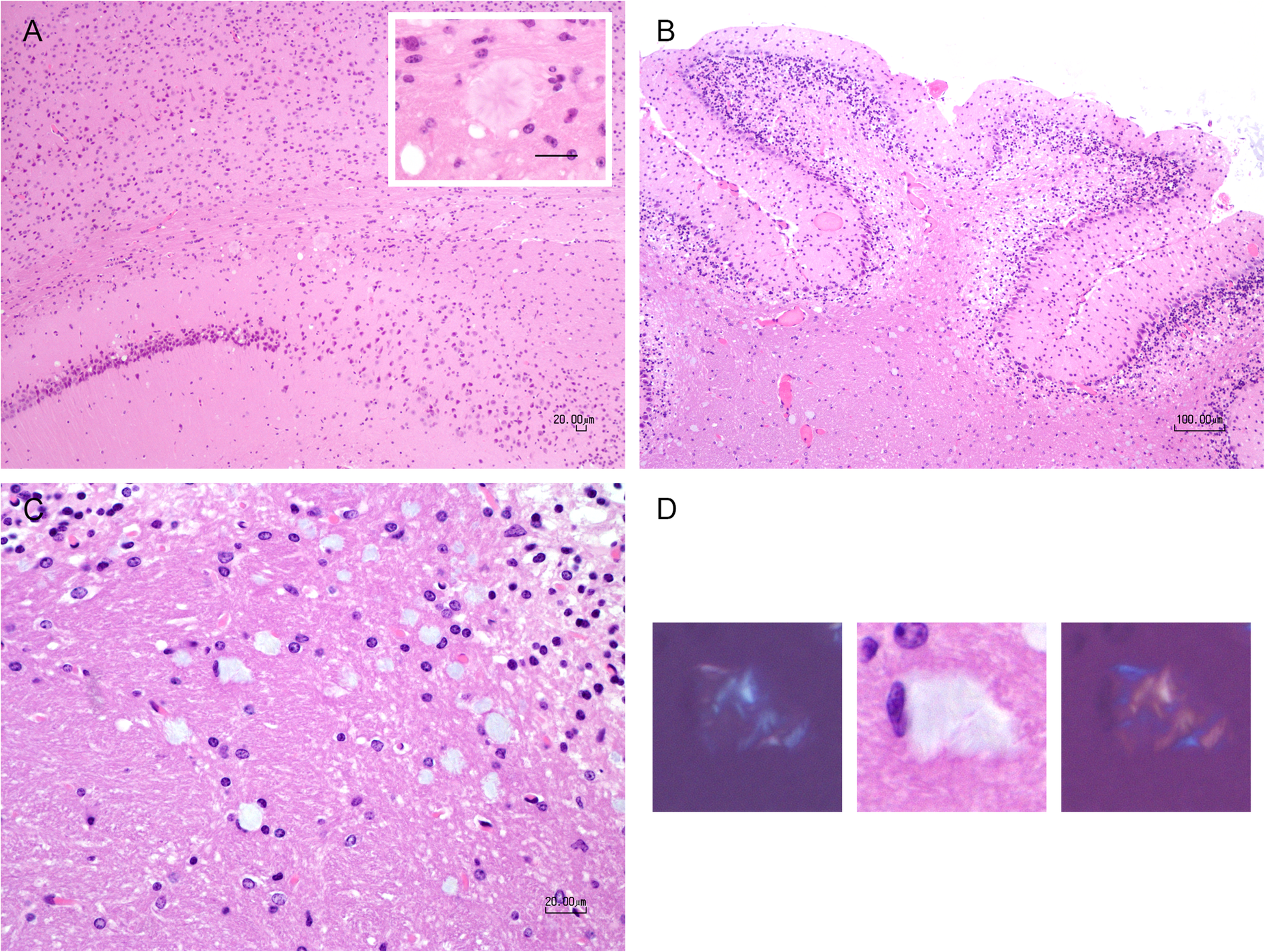 Fig. 4