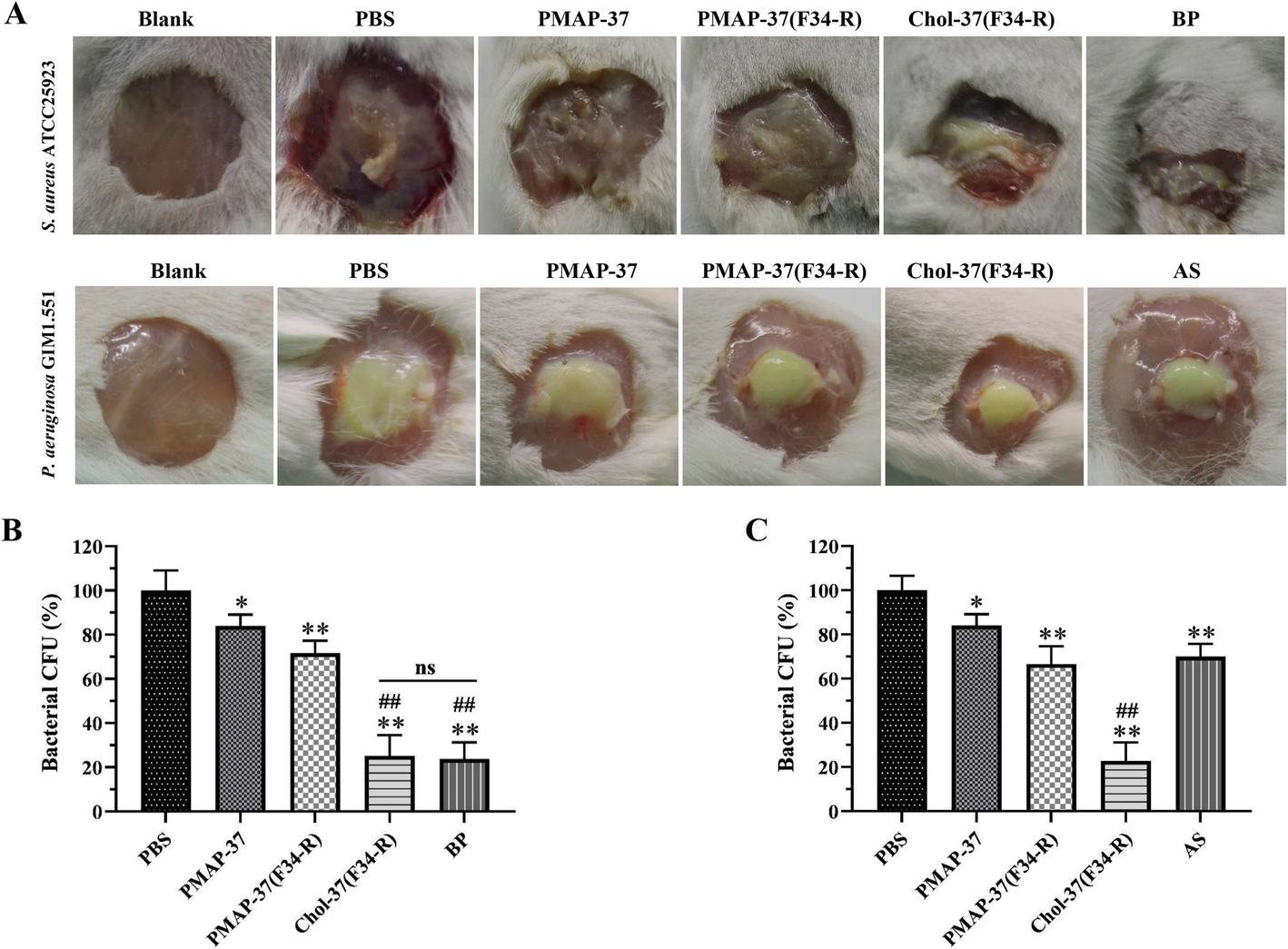 Fig. 10