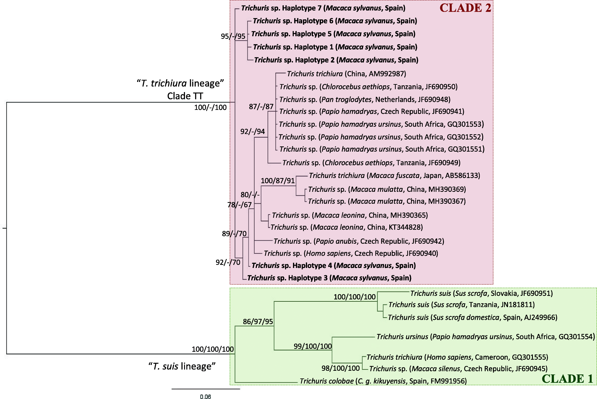 Fig. 5