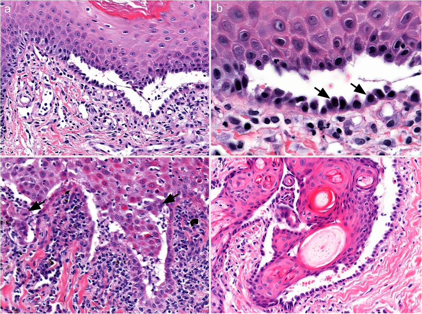 Fig. 6