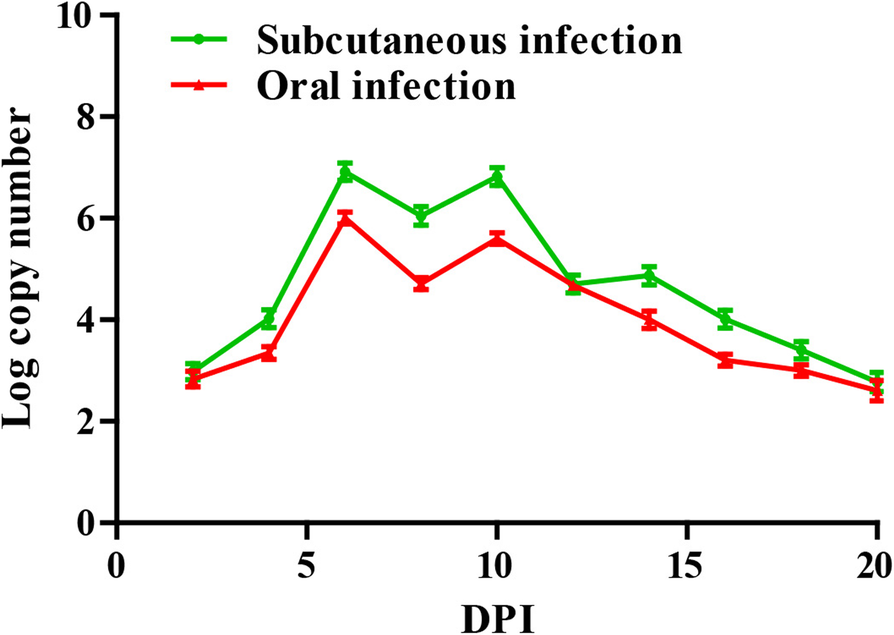 Fig. 7