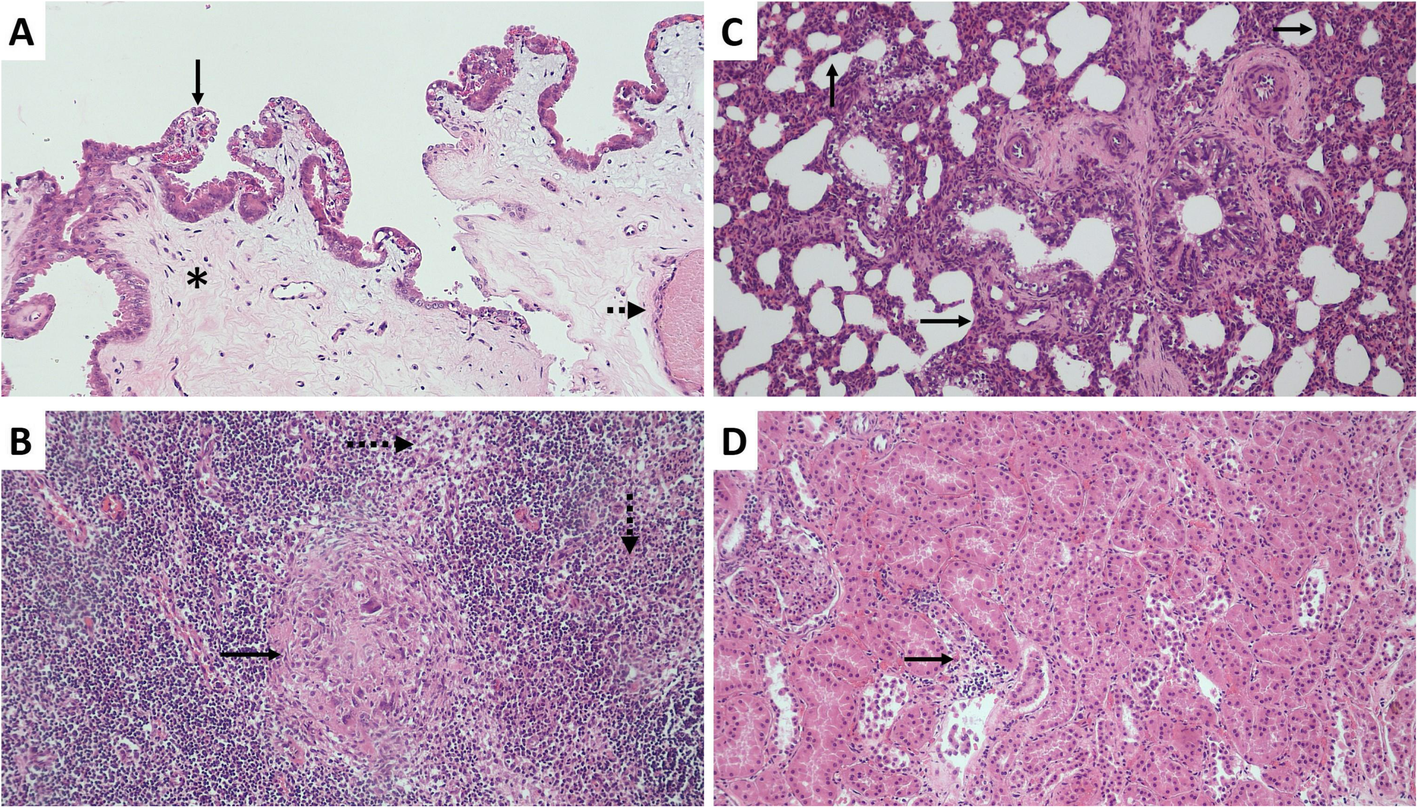 Fig. 2