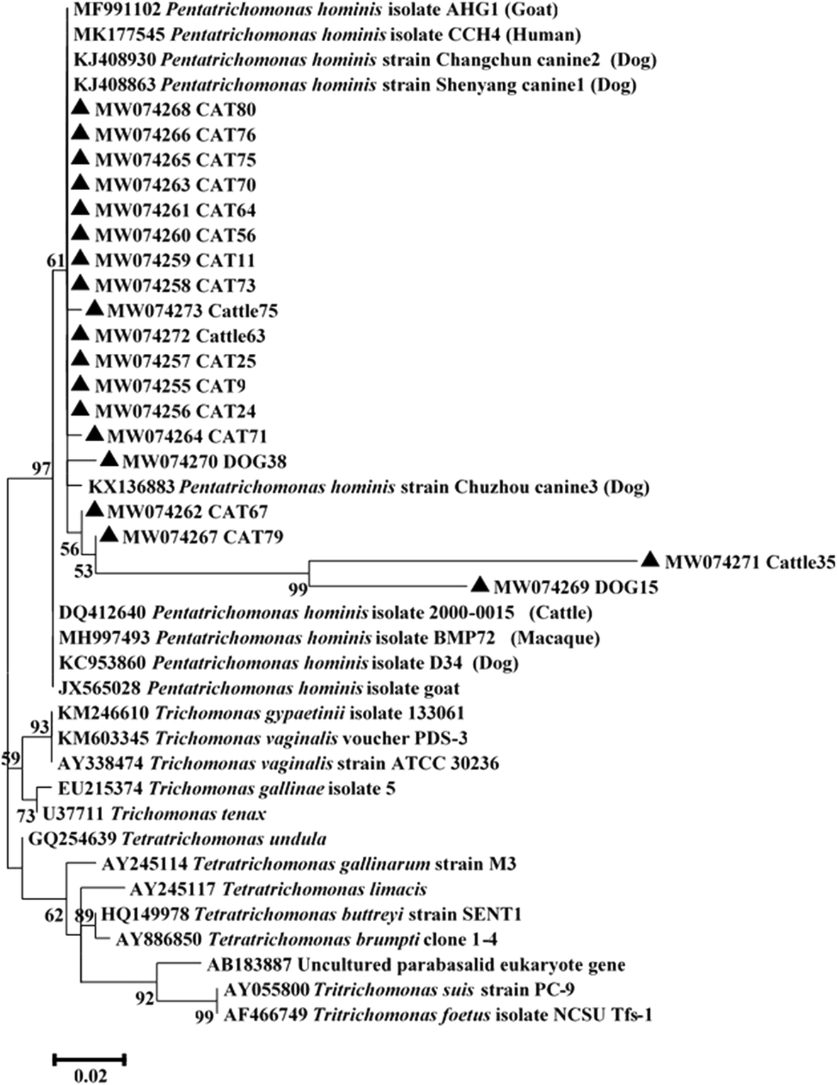 Fig. 1