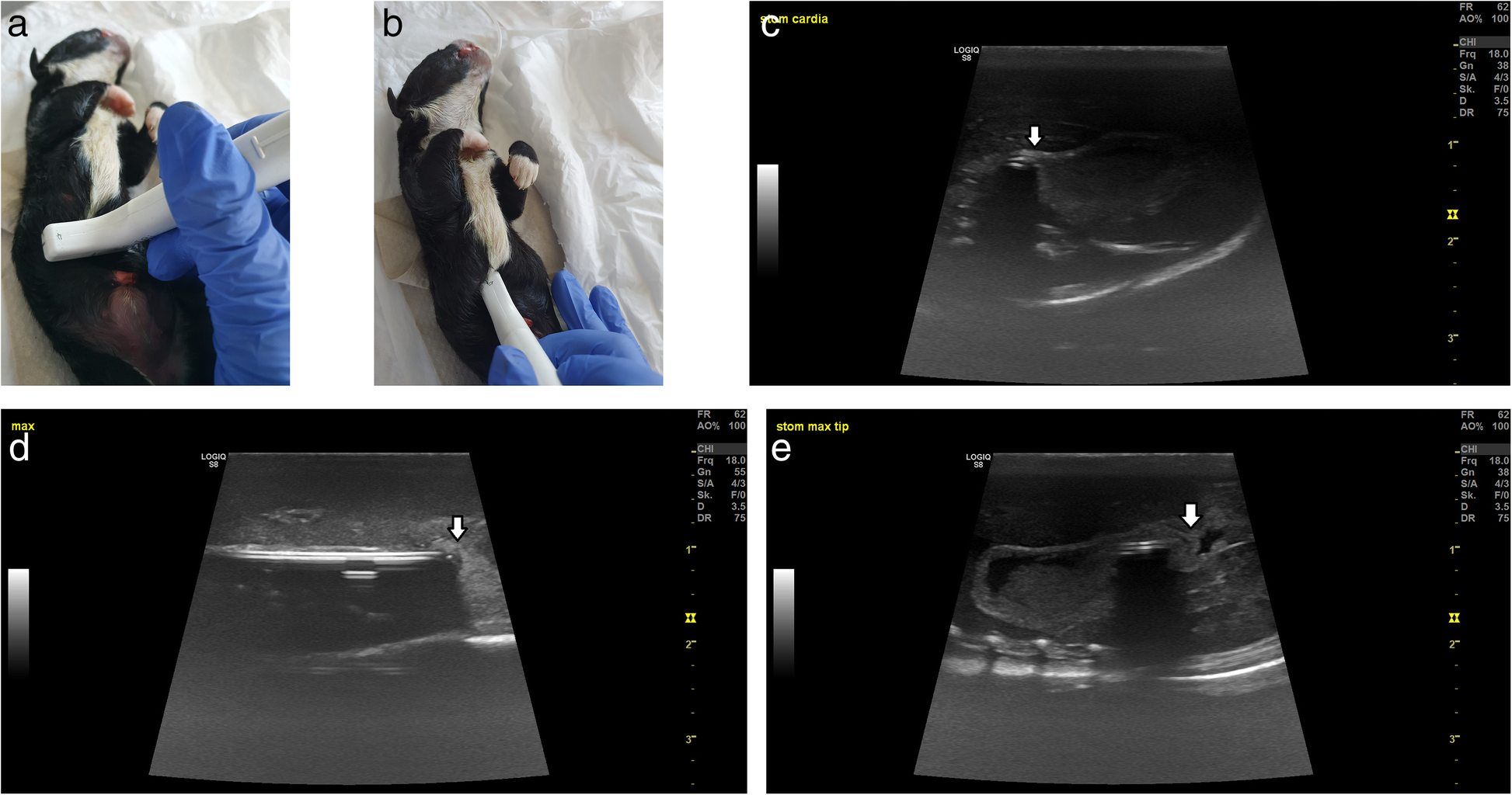 Fig. 2