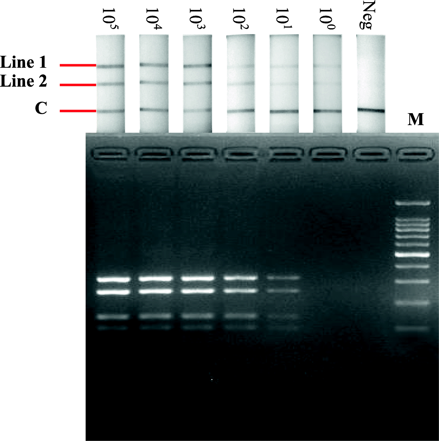 Fig. 3