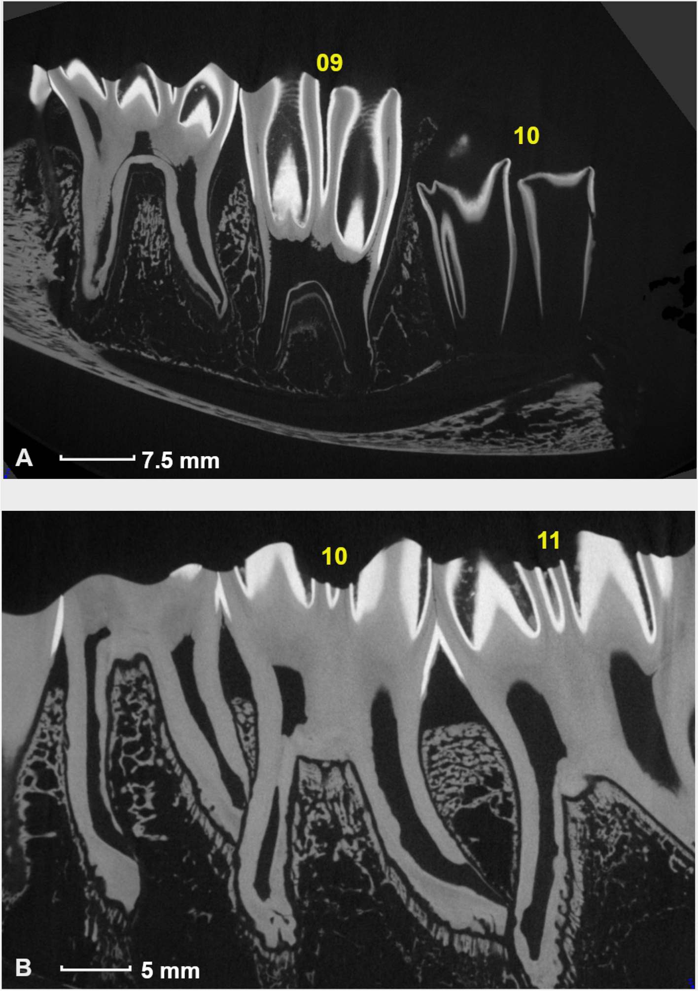 Fig. 8