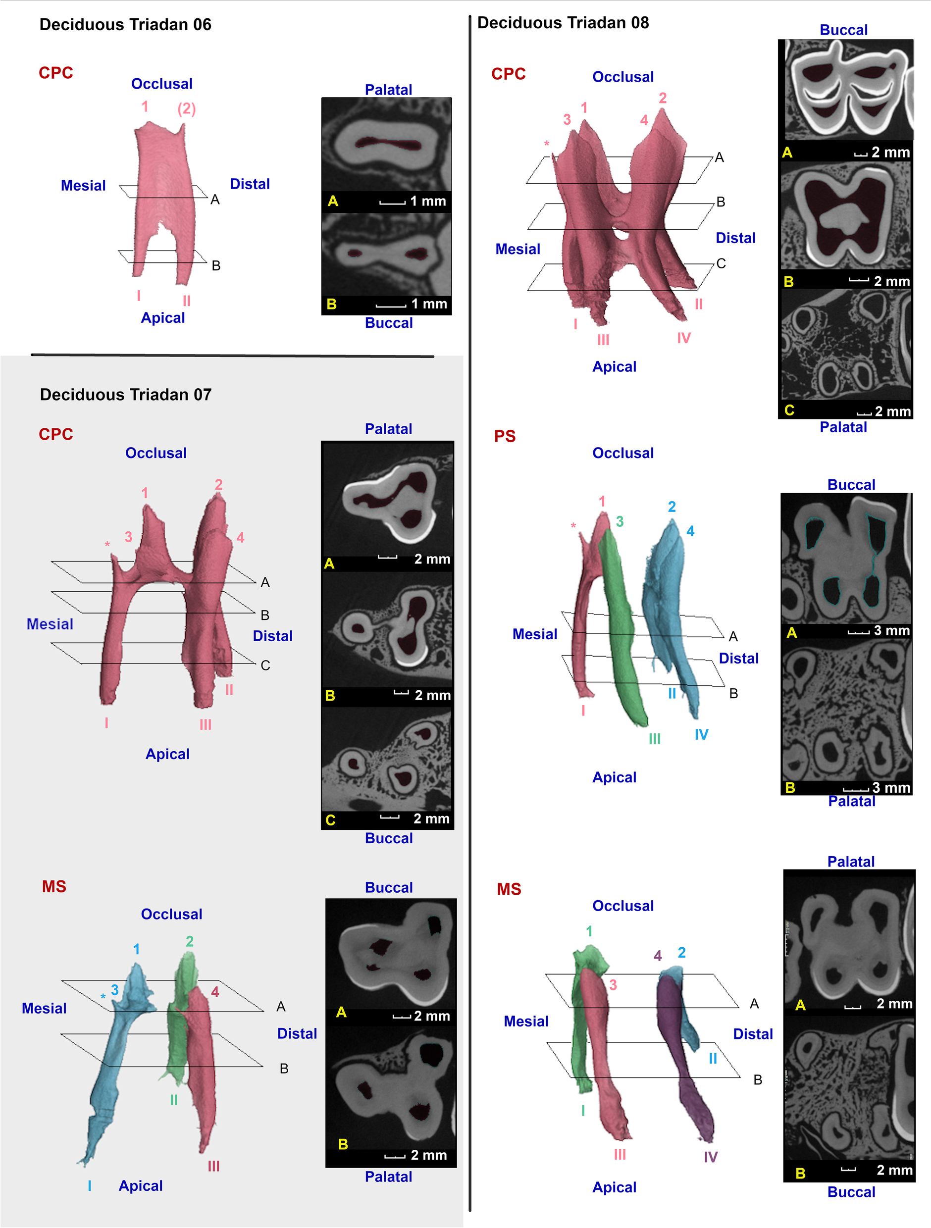 Fig. 6