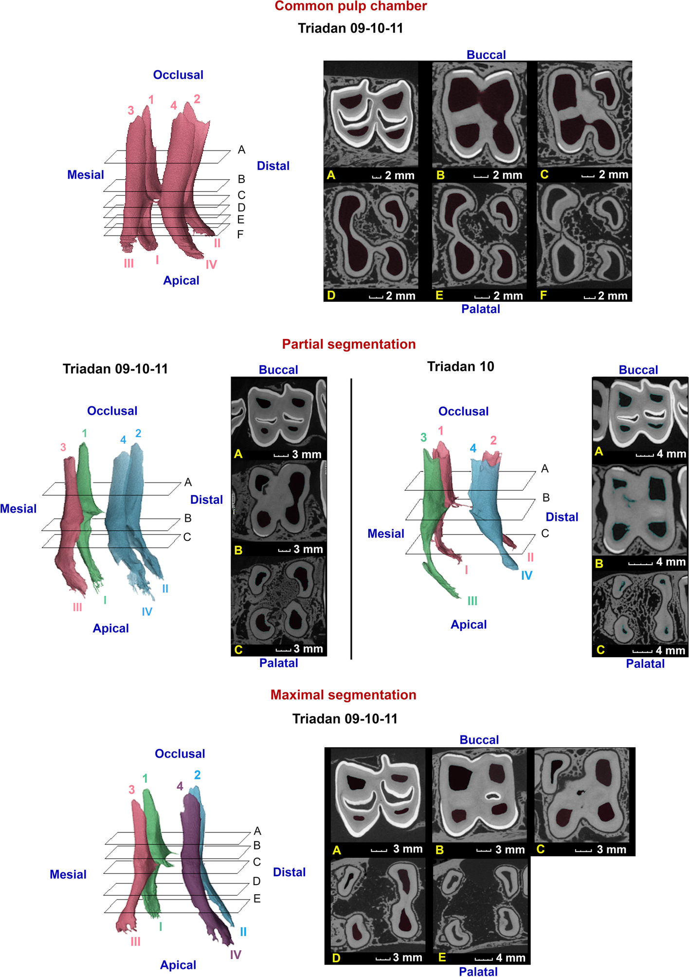 Fig. 8