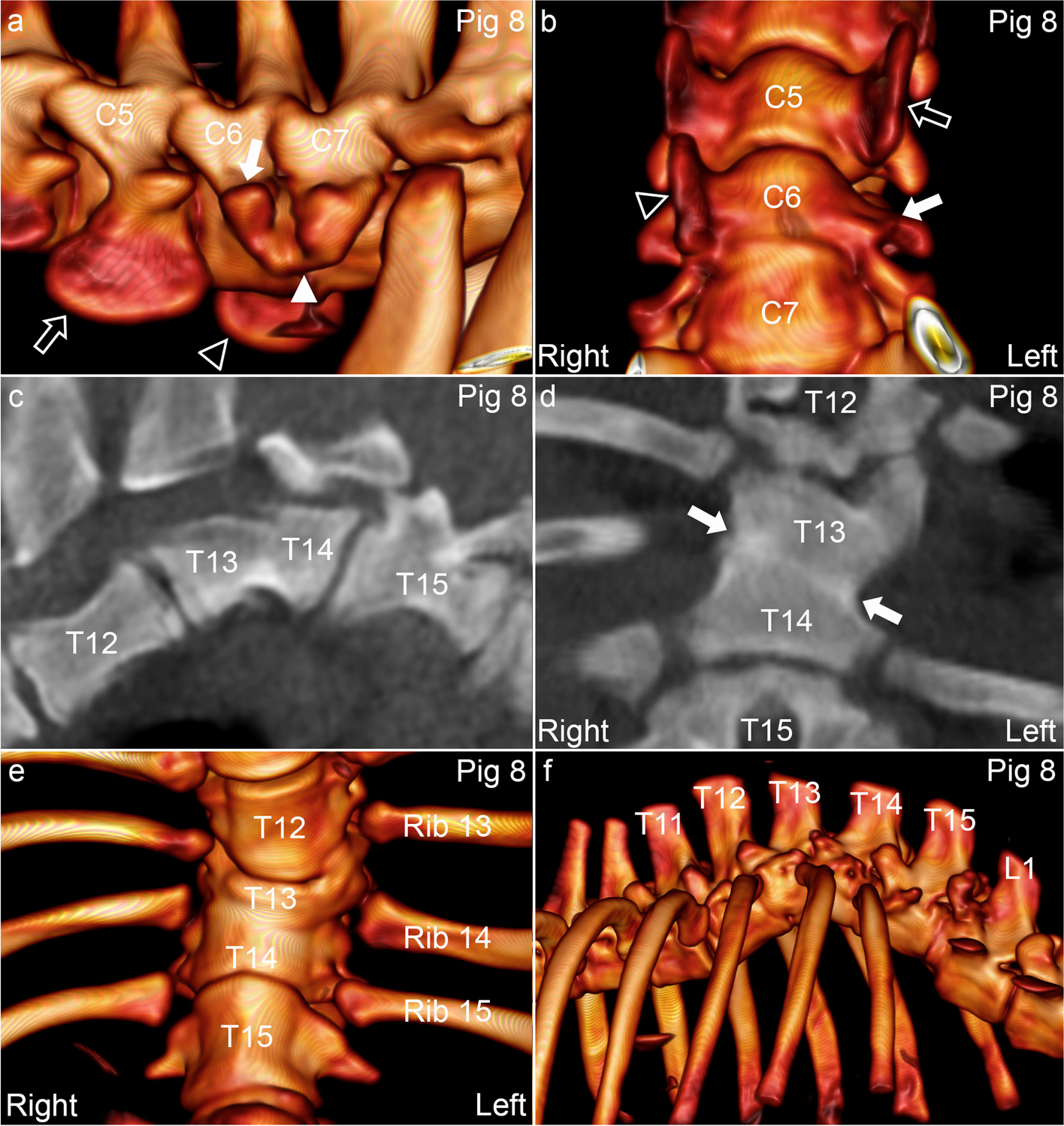 Fig. 8