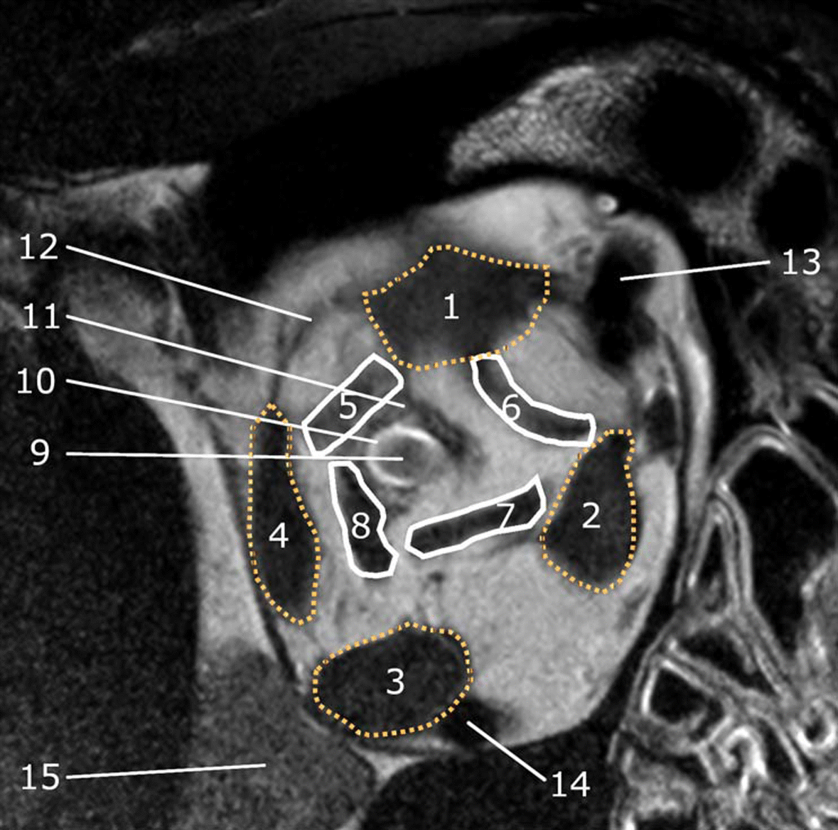 Fig. 7