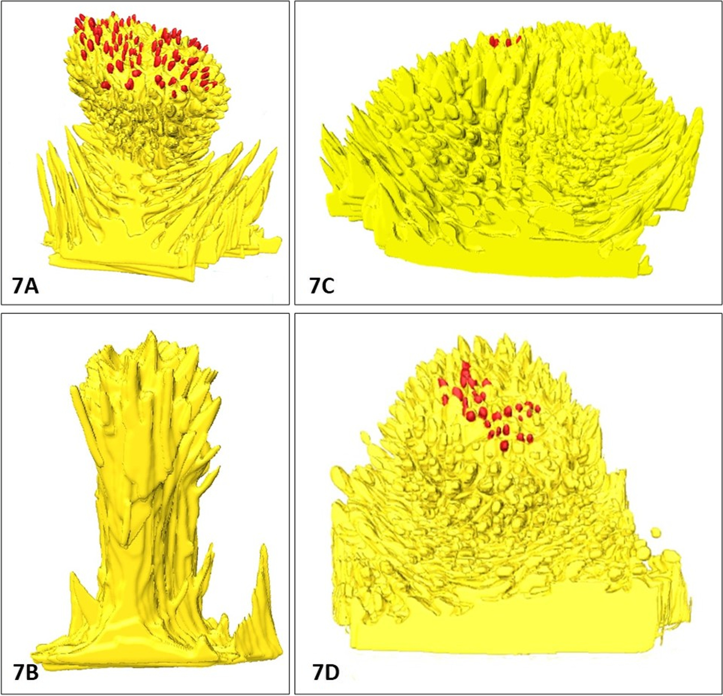 Fig. 7