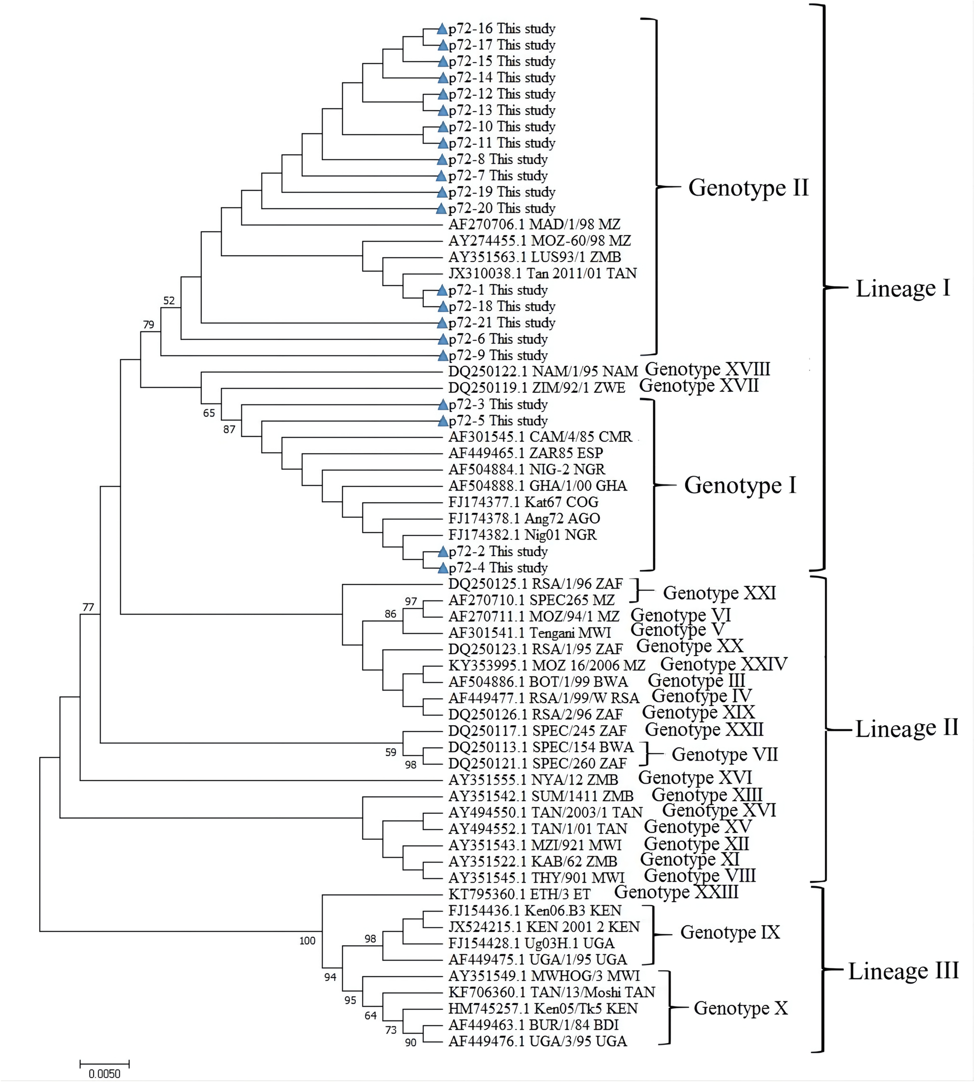 Fig. 4